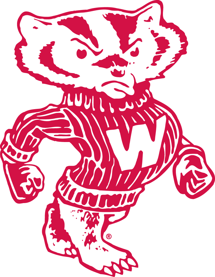 Wisconsin Badgers 1948-1969 Secondary Logo iron on transfers for T-shirts